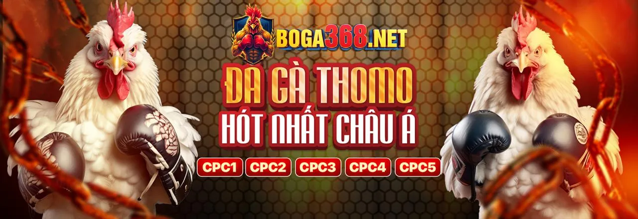 Sân đấu đá gà trực tuyến Netwin