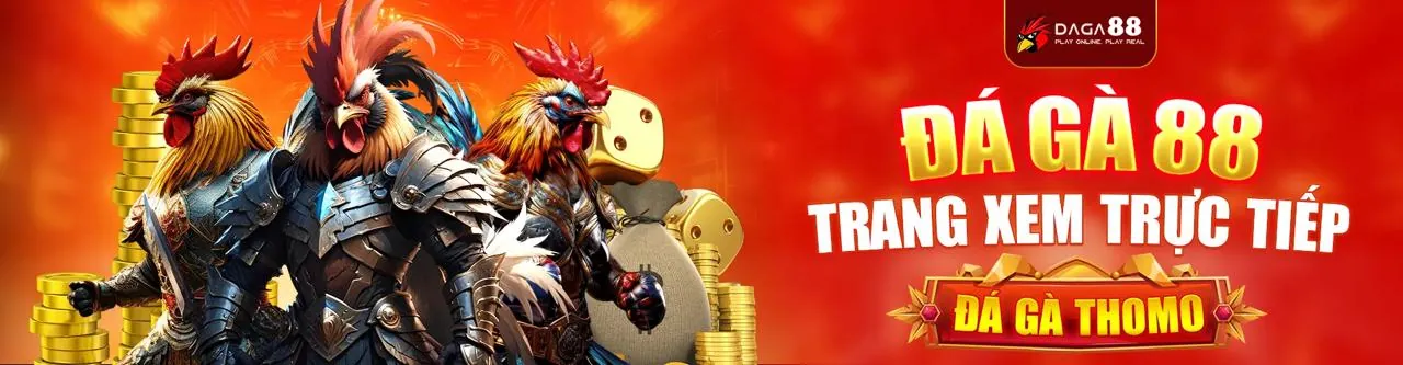 Netwin Link Mới Blog Hero